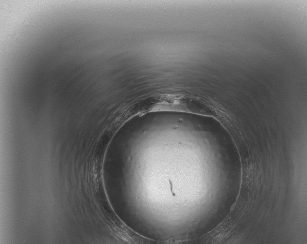 X0000059810373200510281711