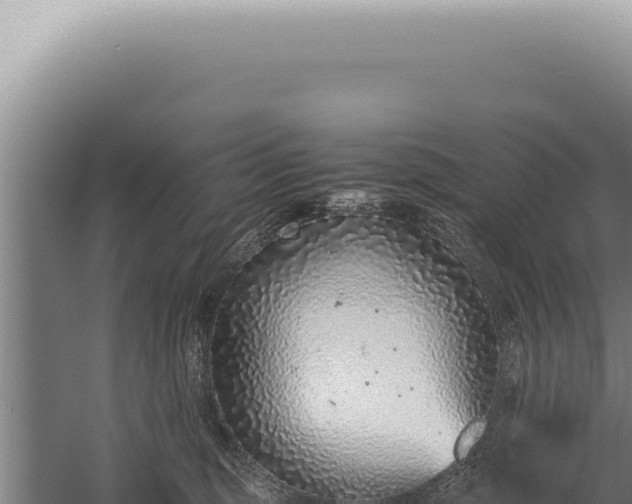 X0000059810375200510281712