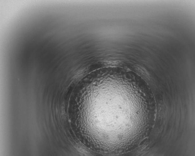 X0000059810377200510281712