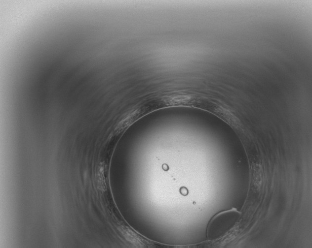 X0000059810378200510281712