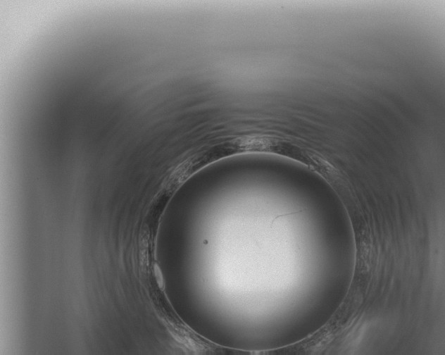 X0000059810379200510281712