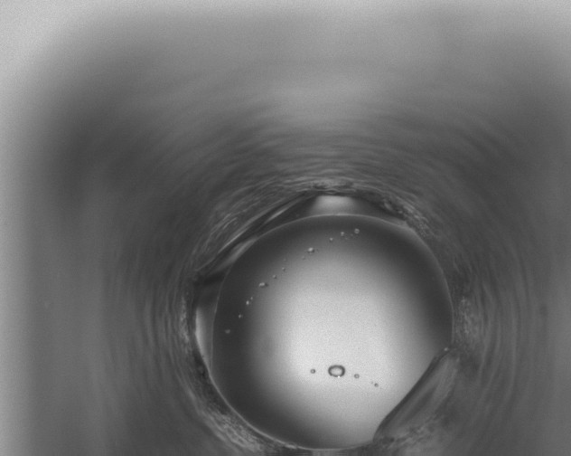 X0000059810380200510281712