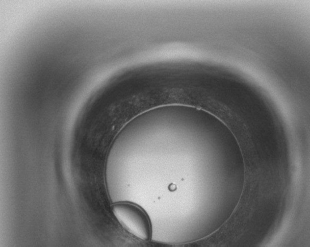 X0000059810382200510281712