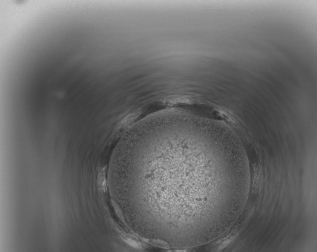 X0000059810383200510281712