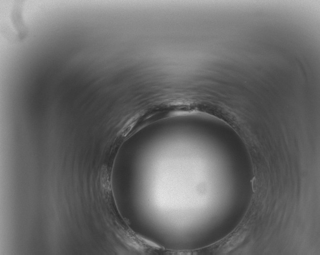 X0000059810384200510281712