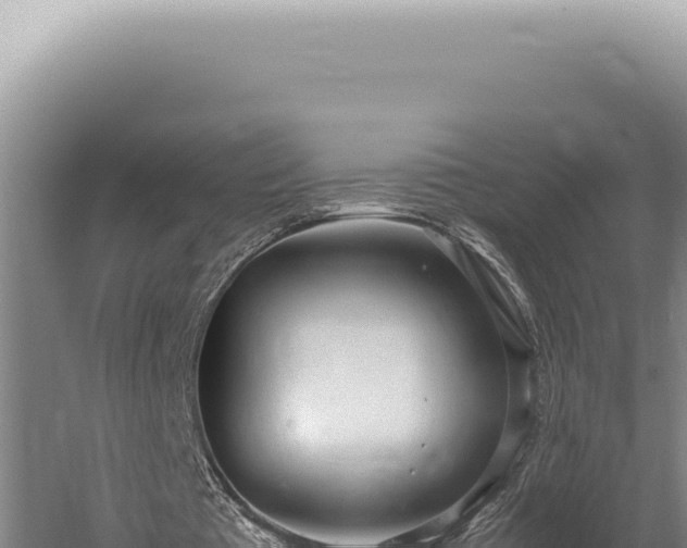 X0000059810385200510281711