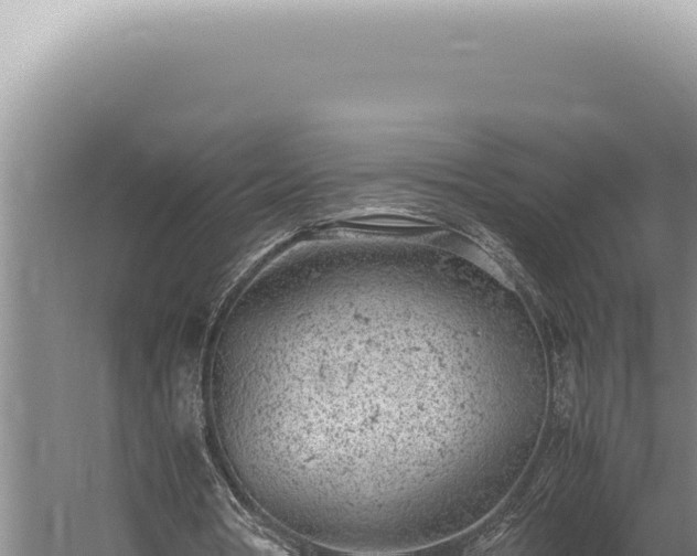 X0000059810386200510281711