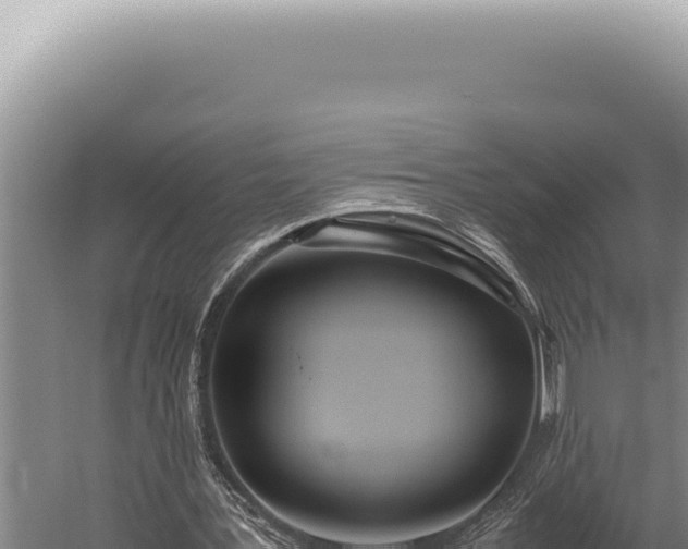 X0000059810387200510281711