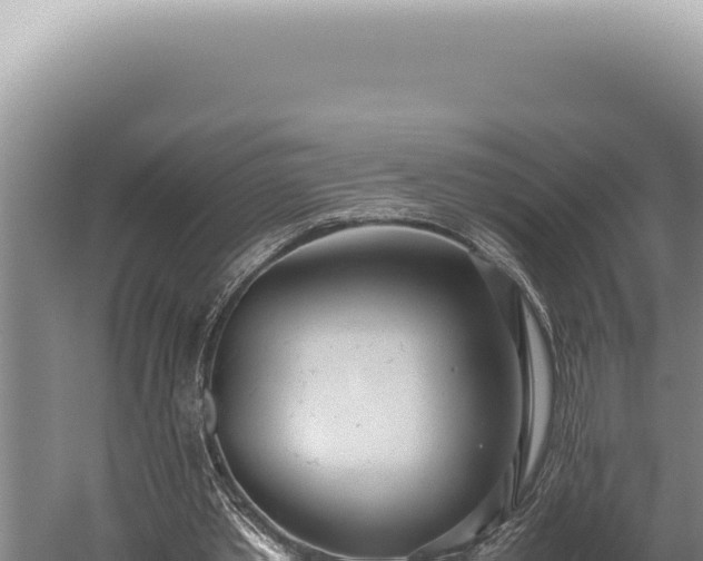 X0000059810389200510281711