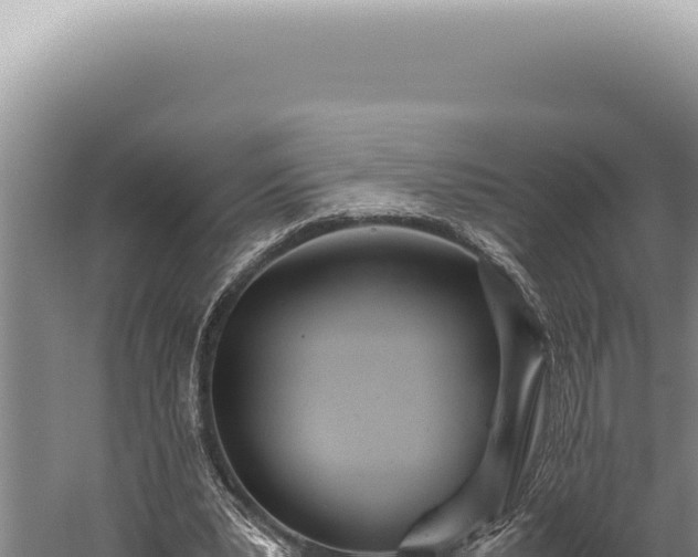 X0000059810391200510281711