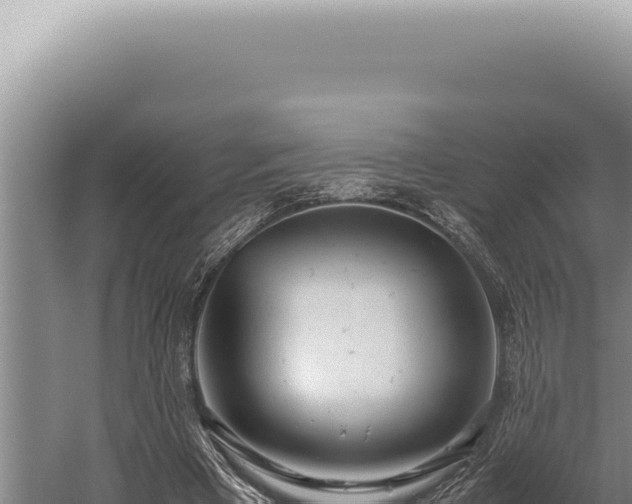 X0000059810393200510281711