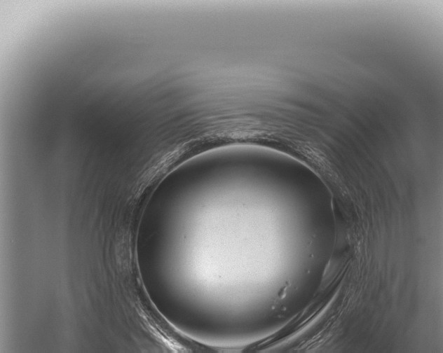 X0000059810397200510281711