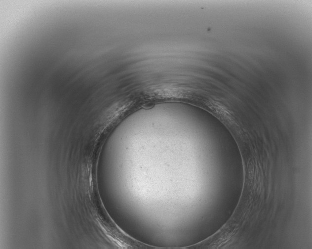 X0000059810398200510281711