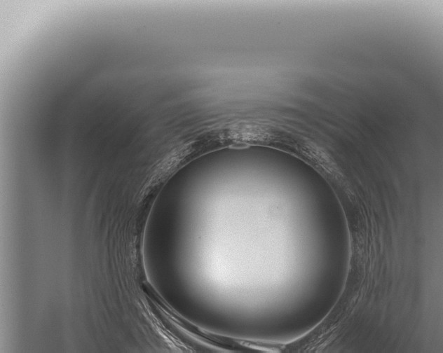 X0000059810401200510281711