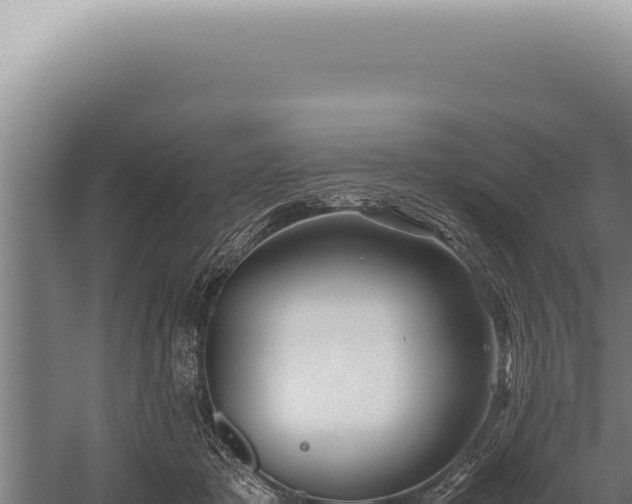 X0000059810413200510281710