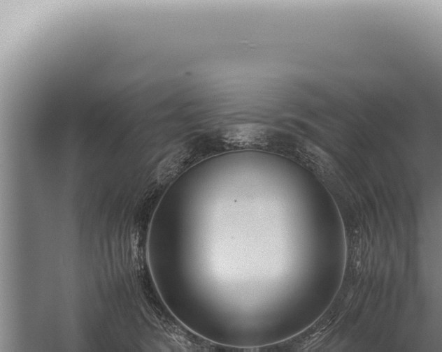 X0000059810420200510281710