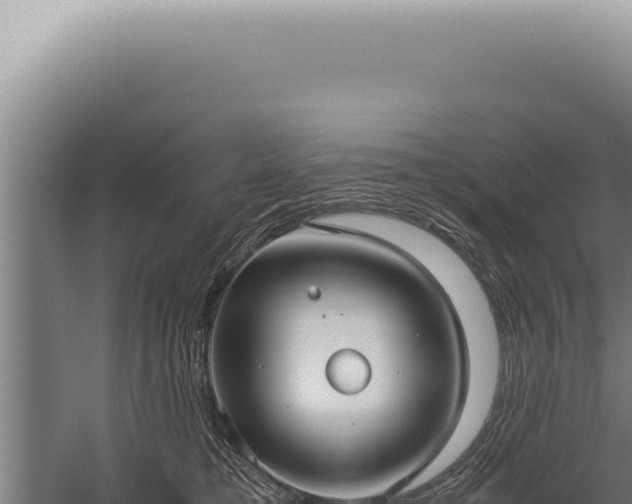 X0000059810421200510281710