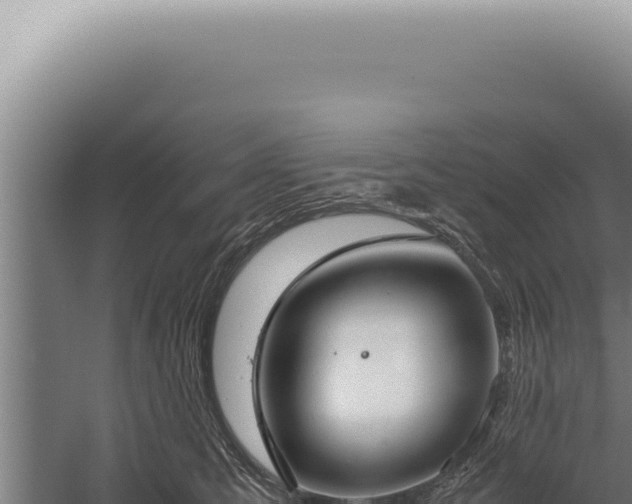 X0000059810423200510281710