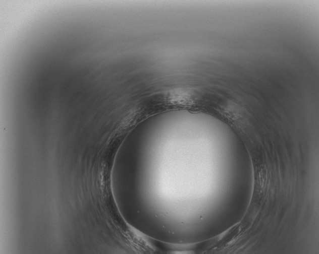 X0000059810424200510281710