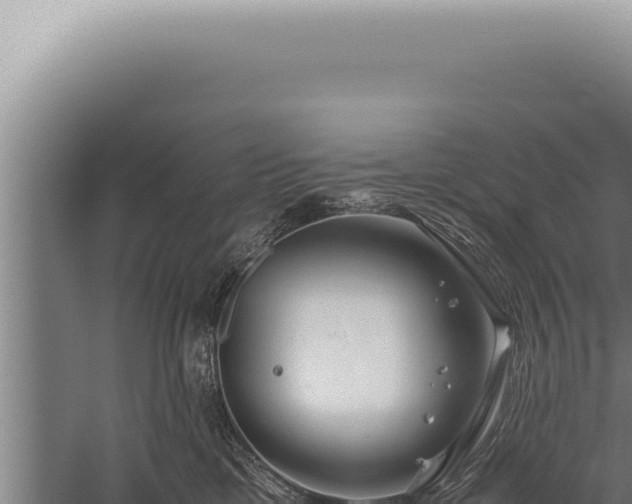 X0000059810425200510281710