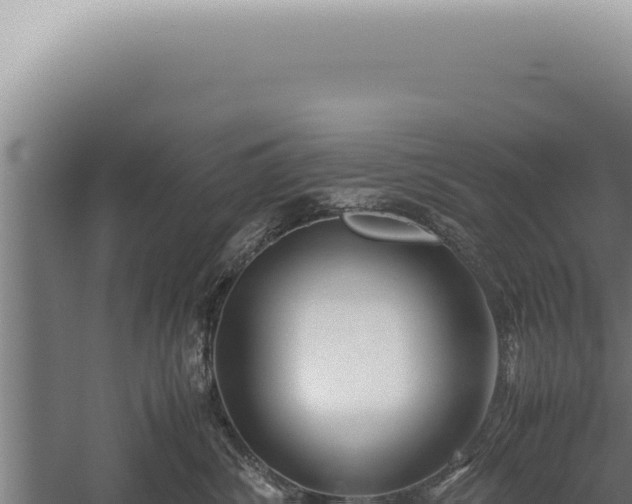 X0000059810428200510281710