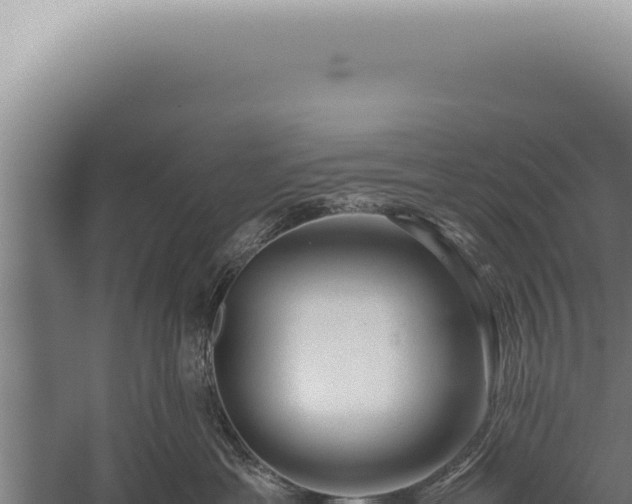 X0000059810429200510281710