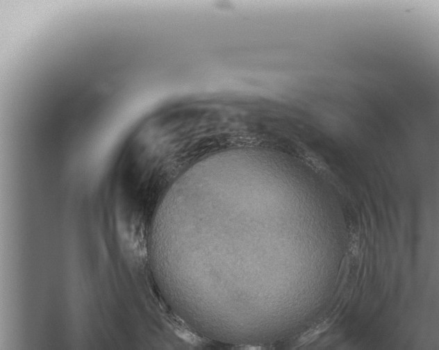 X0000059810431200510281710