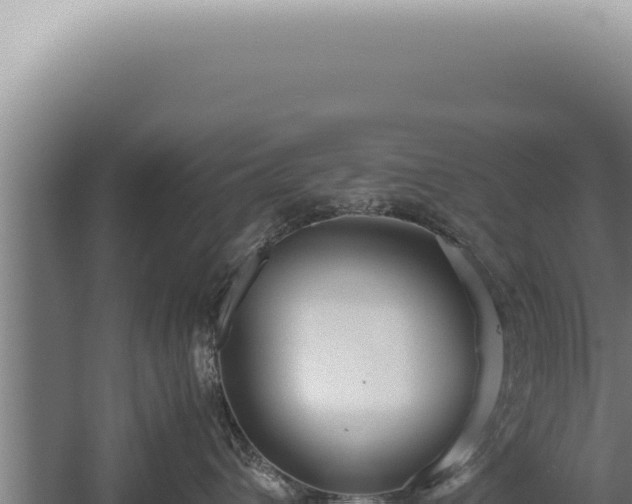 X0000059810432200510281710