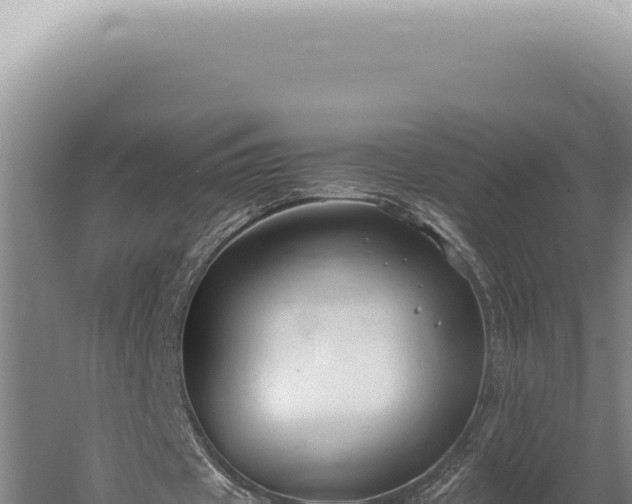 X0000059810433200510281709