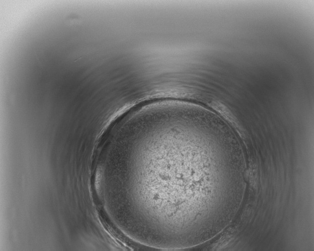 X0000059810434200510281709