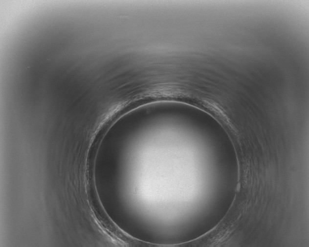 X0000059810439200510281709