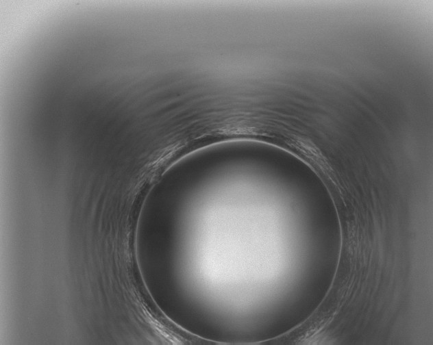 X0000059810441200510281709