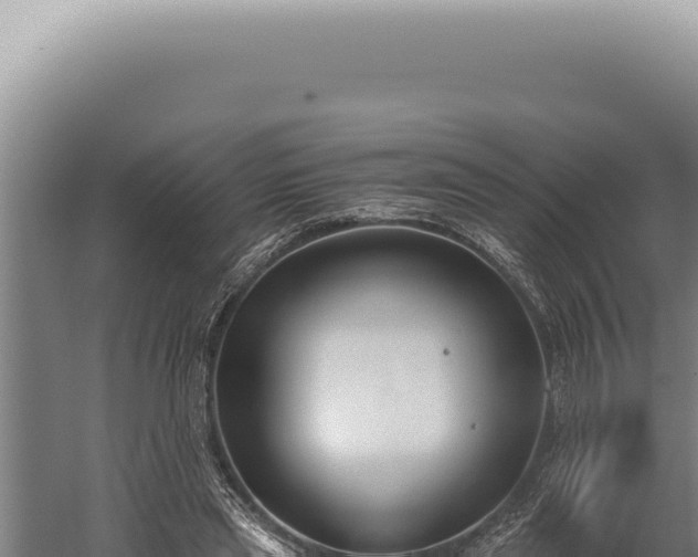 X0000059810445200510281709