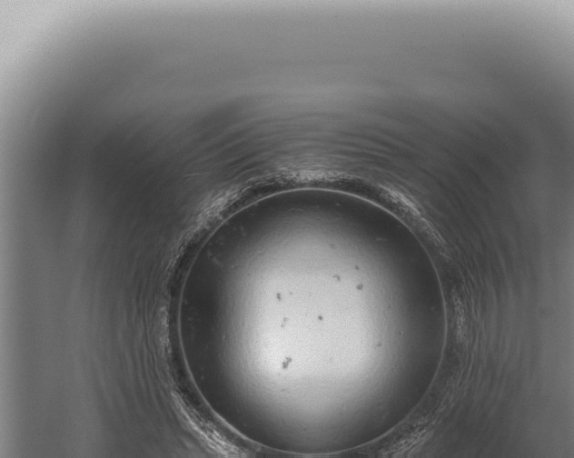 X0000059810447200510281709