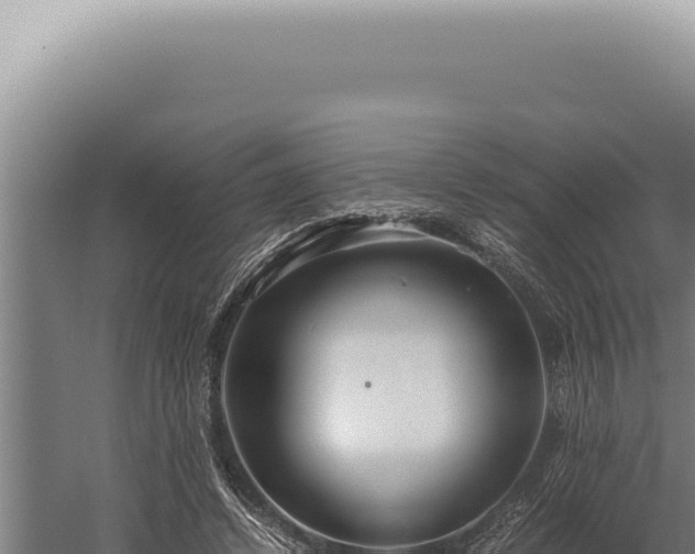 X0000059810448200510281709