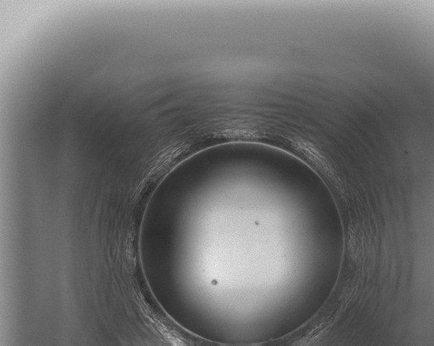 X0000059810449200510281709