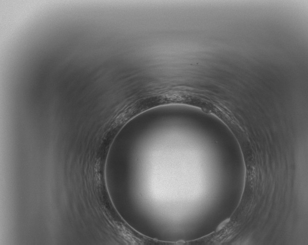 X0000059810466200510281710