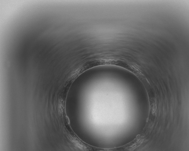 X0000059810476200510281710