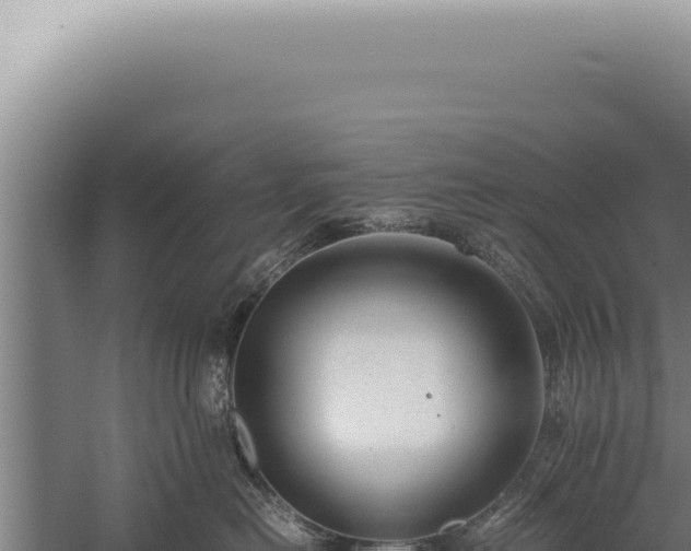 X0000059810478200510281710