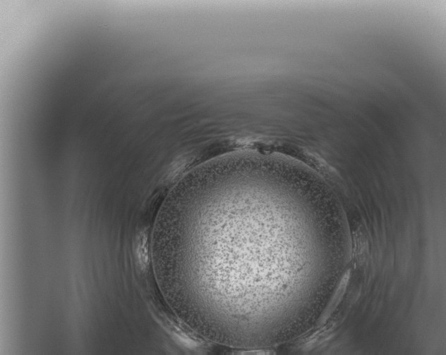 X0000059810479200510281710