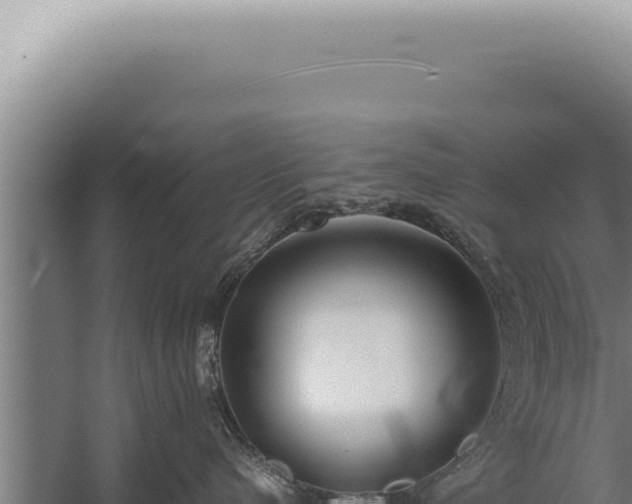 X0000059810480200510281710