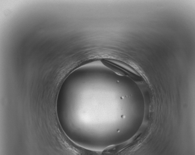 X0000059810481200510281709