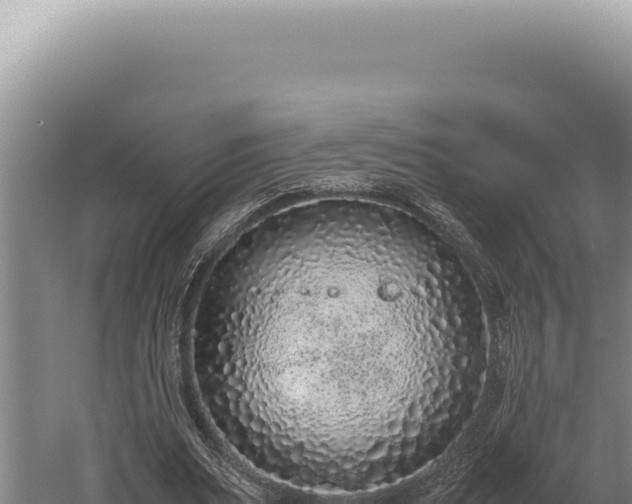 X0000059810487200510281709