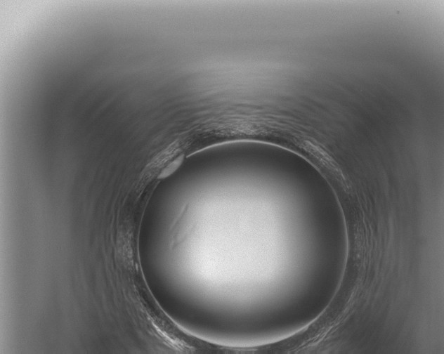 X0000059810489200510281709