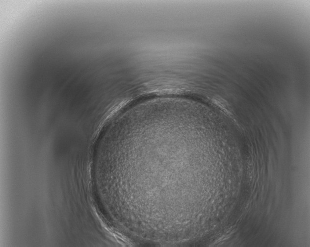 X0000059810491200510281709