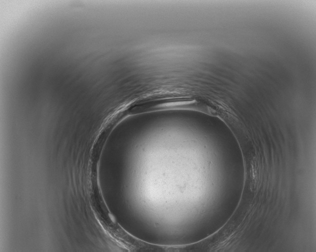 X0000059810492200510281709