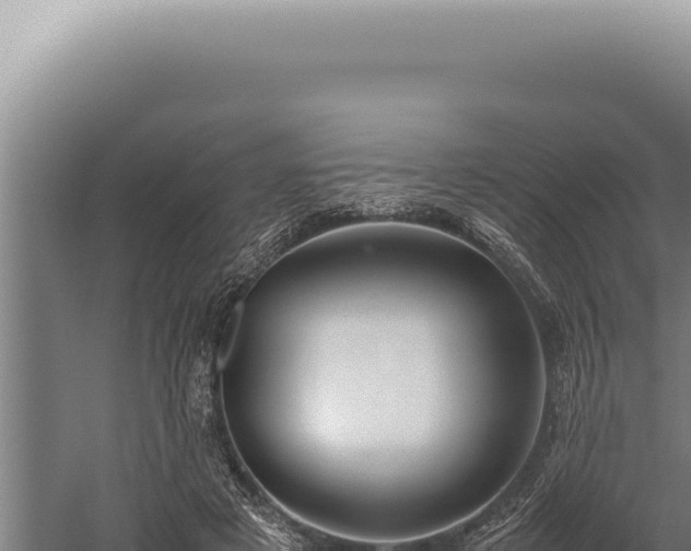 X0000059810497200510281709