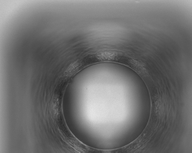 X0000059810498200510281709