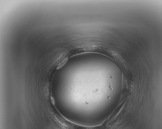 X0000059810501200510281709