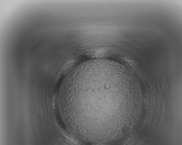 X0000059810503200510281709